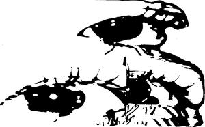 witnessvalley